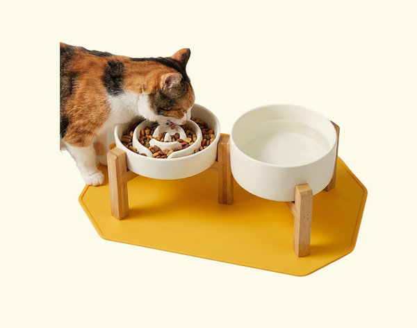 Gehobene Gastronomie