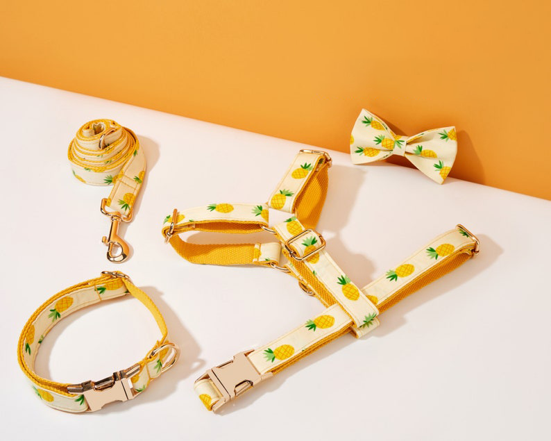 Sommer-Ananas-Print Hundegeschirr und Leine Set mit Fliege, verstellbar