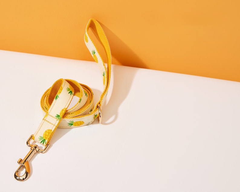 Sommer-Ananas-Print Hundegeschirr und Leine Set mit Fliege, verstellbar