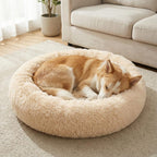 Beruhigendes Donut-Haustierbett aus Plüsch – Rundes Hunde- & Katzenbett mit erhöhtem Rand, weiche Füllung, Gelenkentlastung