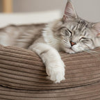 Katzenbett, warmes Fellkissen, waschbar, 2 Größen 45 cm 50 cm