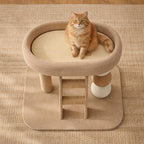 Kleiner Kratzbaum-Turm mit Wohnung & Sitzstange für Katzen - Moderne Katzenmöbel für Indoor-Katzen