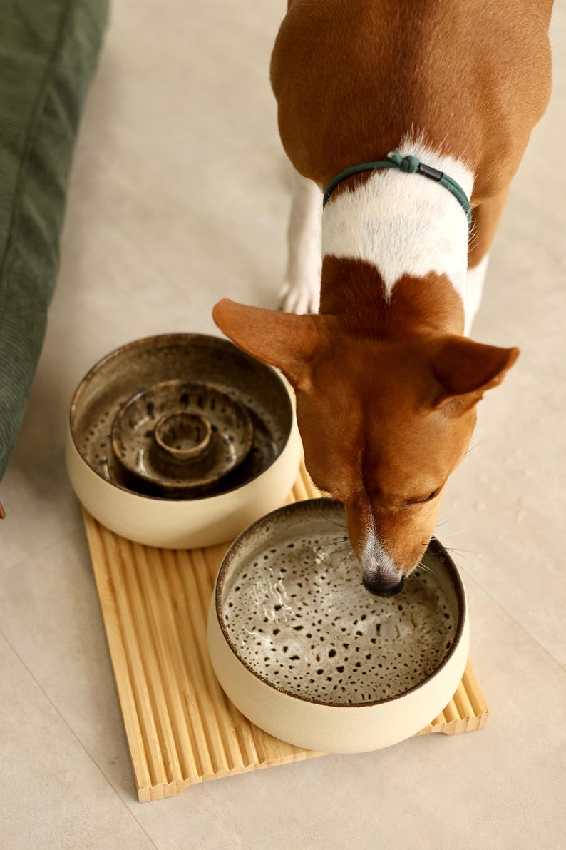 Slow Feeder Keramiknapf Cosmic Blue - Steingut Futterschale für Hunde & Katzen