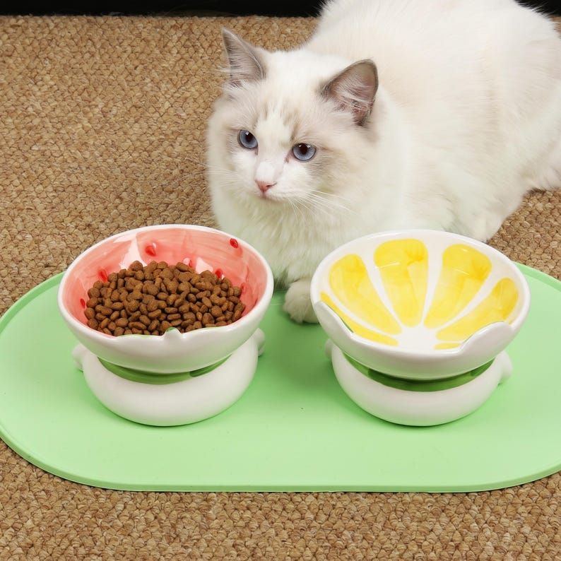 Silikon Fressnapf Tischset 45x24 cm Wasserdicht Rutschfest für Katzen und Welpen