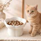 Erhöhter Keramik-Fressnapf mit Blumenmuster für Katzen und kleine Hunde, 200 ml, Cremeweiß