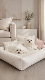 Bouclé-Hundebett in Milchweiß, weiches Teddy-Haustierbett, kuscheliges Sofabett für kleine bis große Hunde