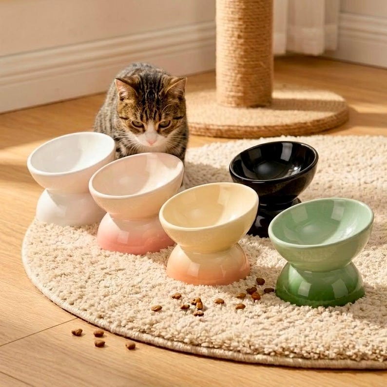 Erhöhter Keramik Katzenfutternapf, Schnurrhaarfreundlich, Hochtemperaturkeramik